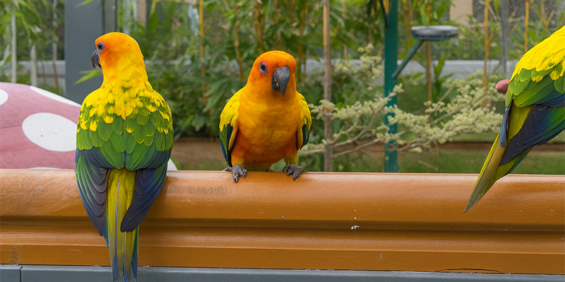 Hotel room in Trichy - affordable room near Chatram bus stand